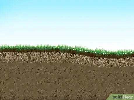 Imagen titulada Topdress a Lawn Step 10