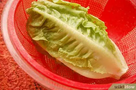 Imagen titulada Make Lettuce Extra Crispy Step 5