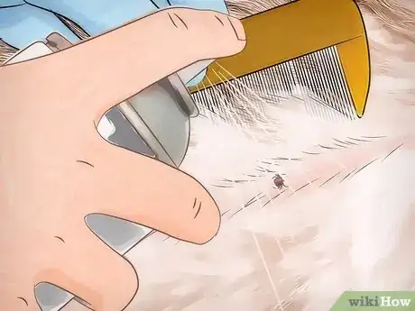 Imagen titulada Get Rid of Ticks Around Your Home Step 5