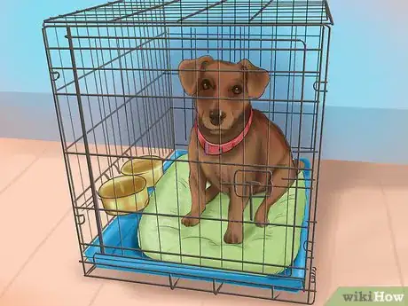 Imagen titulada Crate Train Your Dog or Puppy Step 17