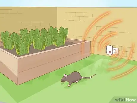 Imagen titulada Keep Rats Out of a Vegetable Garden Step 13