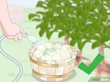 Imagen titulada Make Garlic Garden Spray Step 16