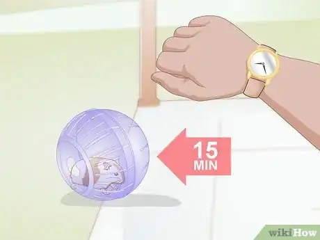 Imagen titulada Use a Hamster Ball Step 5