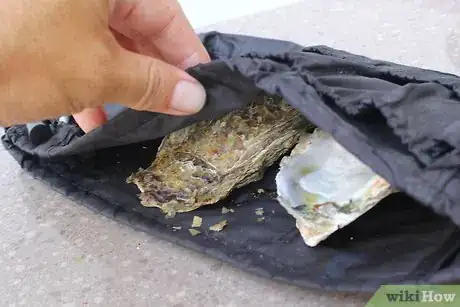 Imagen titulada Prepare Oyster Shells for Chickens Step 3