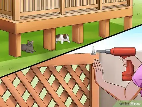 Imagen titulada Keep a Stray Cat Away from Your Cat Step 10