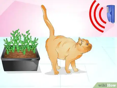 Imagen titulada Keep Cats from Urinating in House Plants Step 4