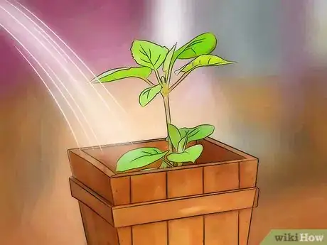 Imagen titulada Place Houseplants Around Your Home Step 11