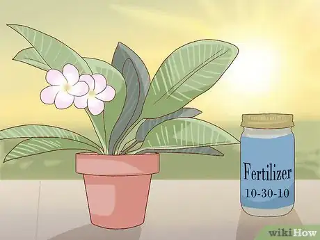 Imagen titulada Grow a Plumeria Step 13