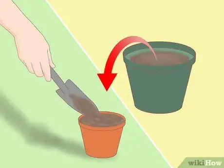 Imagen titulada Plant a Lemon Seed Step 3