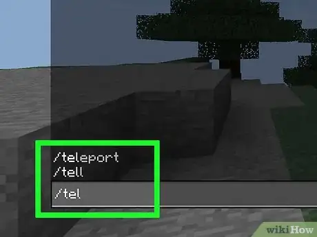 Imagen titulada Teleport in Minecraft Step 16