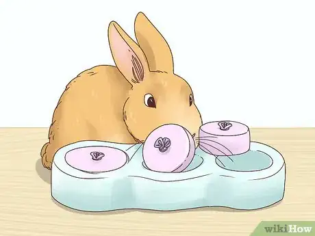 Imagen titulada Let Your Rabbit Run Loose in Your Home Step 11