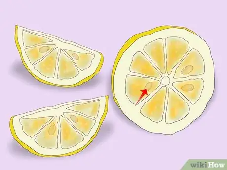 Imagen titulada Plant a Lemon Seed Step 5