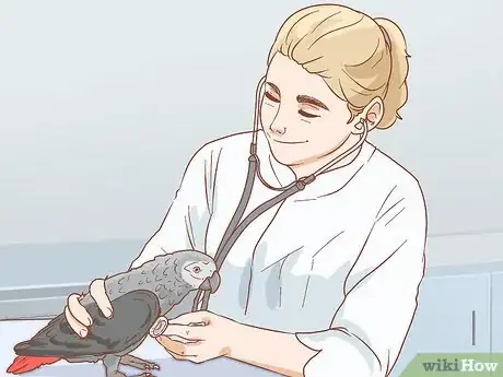 Imagen titulada Treat Respiratory Infections in African Grey Parrots Step 11