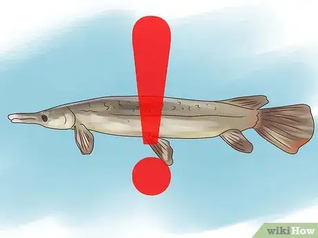 Imagen titulada Fish for Alligator Gar Step 13