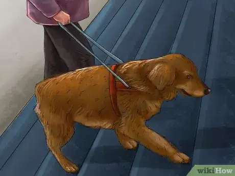 Imagen titulada Help a Dog Overcome Its Fear of Stairs Step 7