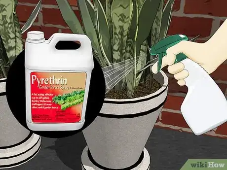 Imagen titulada Remove Ants from Potted Plants Step 1