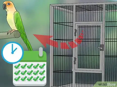 Imagen titulada Interact with Your Conure Step 2