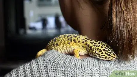 Imagen titulada Have Fun With Your Leopard Gecko Step 13