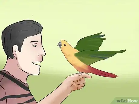 Imagen titulada Teach a Conure to Talk Step 8