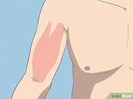 Imagen titulada Build Your Upper Arm Muscles Step 1