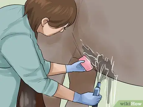 Imagen titulada Clean the Sheath of a Horse Step 10