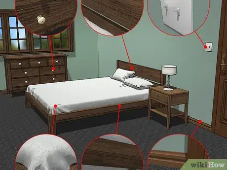 Imagen titulada Recognize Bed Bugs Step 12