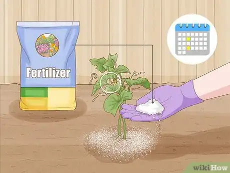 Imagen titulada Grow Cucumbers Step 18