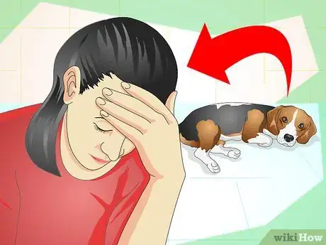 Imagen titulada Understand What Your Dog Wants Step 9