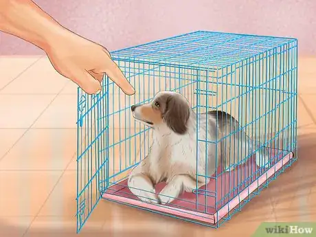 Imagen titulada Crate Train Your Dog or Puppy Step 20