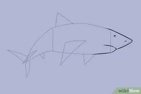 Imagen titulada Draw a Shark Step 15