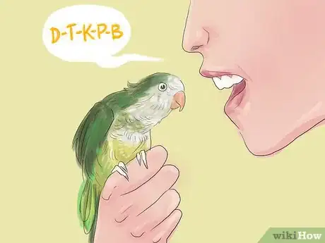 Imagen titulada Teach Parakeets to Talk Step 4