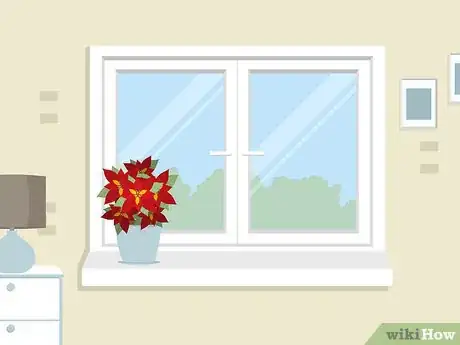 Imagen titulada Care for Poinsettias Step 7