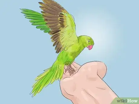 Imagen titulada Teach Parakeets to Talk Step 2