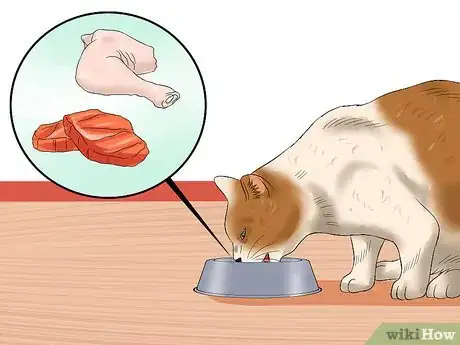 Imagen titulada Ensure That Your Cat Finishes Its Food Step 5