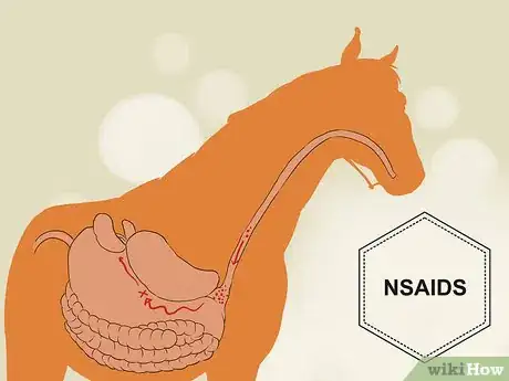 Imagen titulada Treat Lameness in Horses Step 10