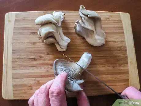 Imagen titulada Prepare Oyster Mushrooms Step 1