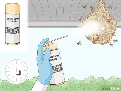 Imagen titulada Get Rid of a Wasp's Nest Step 12