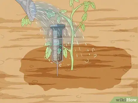 Imagen titulada Determine How Much Water Plants Need Step 15