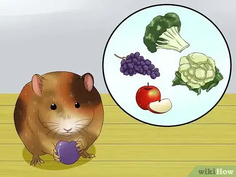 Imagen titulada Know when Your Hamster Is Pregnant Step 11