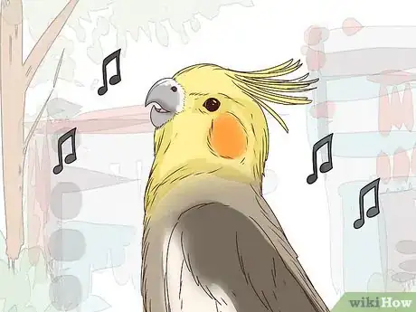 Imagen titulada Understand Cockatiel Gestures Step 3