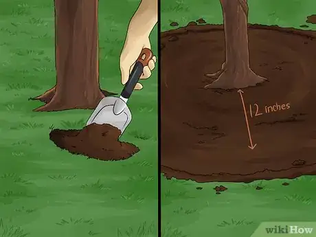 Imagen titulada Create Tree Flower Beds Step 1