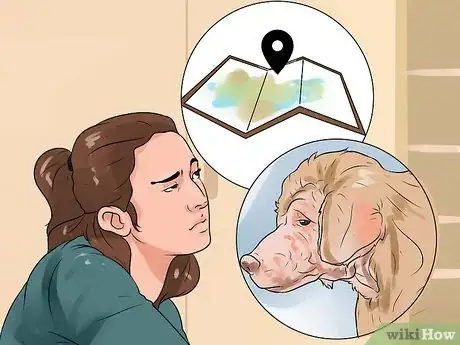 Imagen titulada Identify Mange on Dogs Step 12