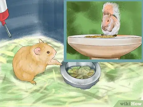 Imagen titulada Get an Overweight Hamster to Lose Weight Step 4