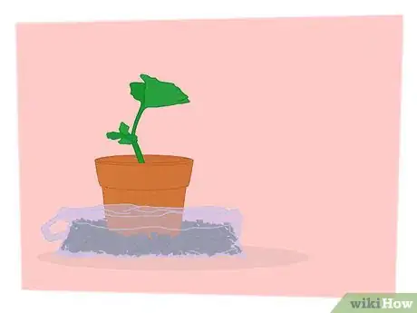 Imagen titulada Propagate Your Plants Step 10