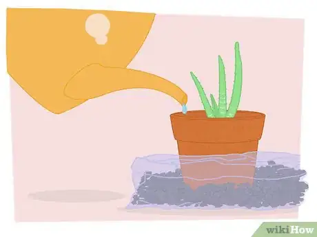 Imagen titulada Propagate Your Plants Step 12