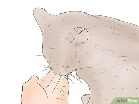 Imagen titulada Train Your Cat to Sit Step 1