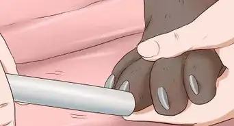 cortar las uñas de un perro