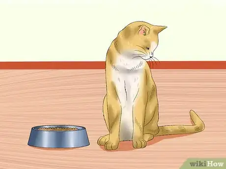 Imagen titulada Ensure That Your Cat Finishes Its Food Step 9