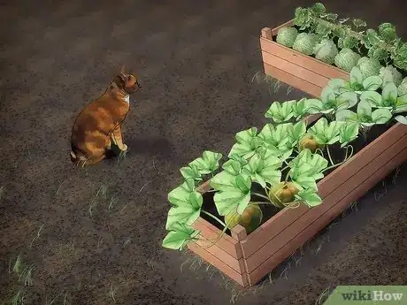 Imagen titulada Keep Animals Out of Your Vegetable Garden Step 7