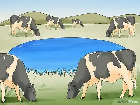 Imagen titulada Manage Pastures Using Rotational or Management Intensive Grazing Step 9